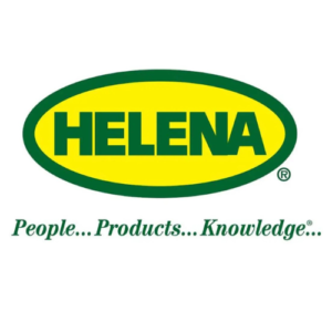 helena-1